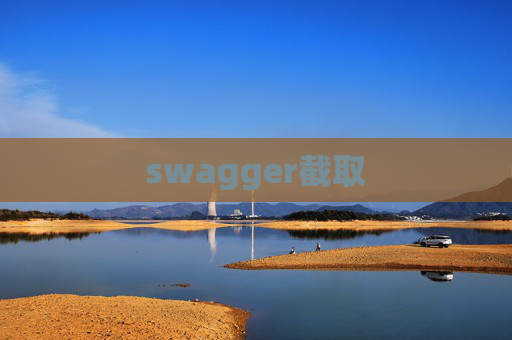 swagger截取